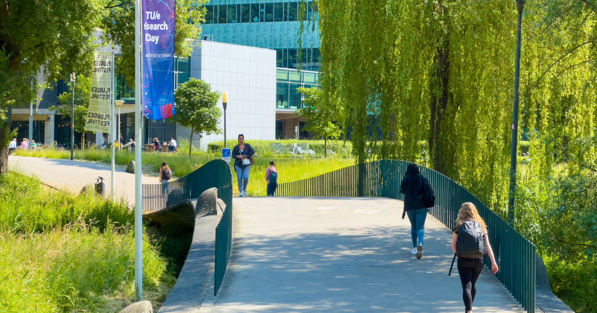 International student numbers at Dutch universities drop for first time in years