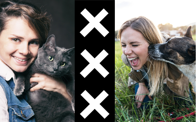 Amsterdam: a cat or dog city?