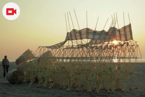 Theo Jansen & His Strandbeests