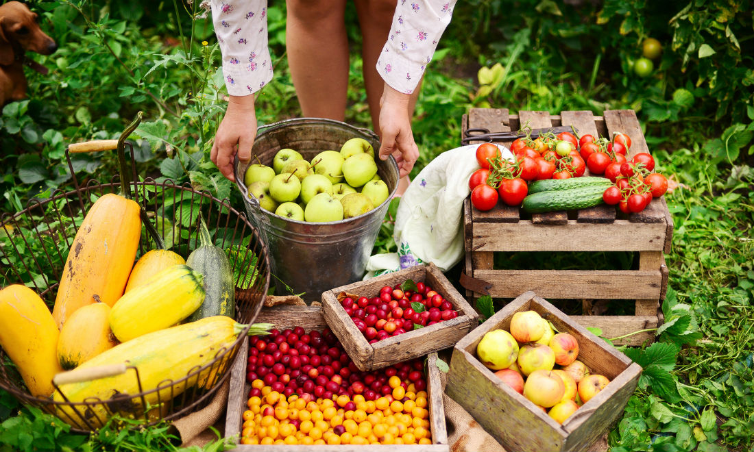 8 easy steps for a more sustainable lifestyle