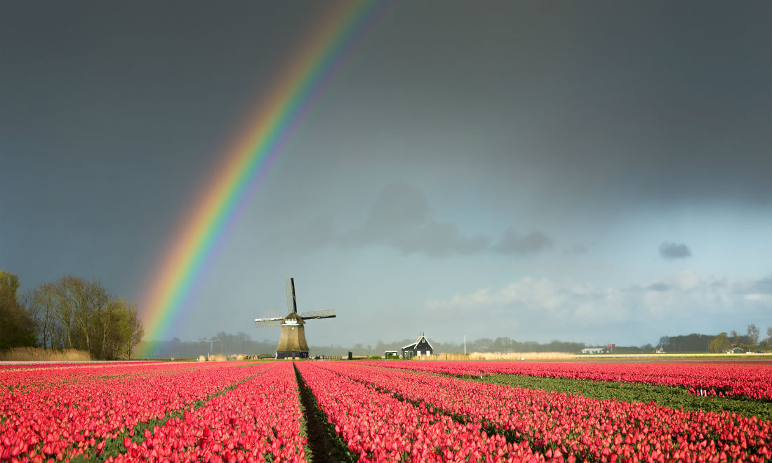 [Video] How to survive the Dutch weather this autumn