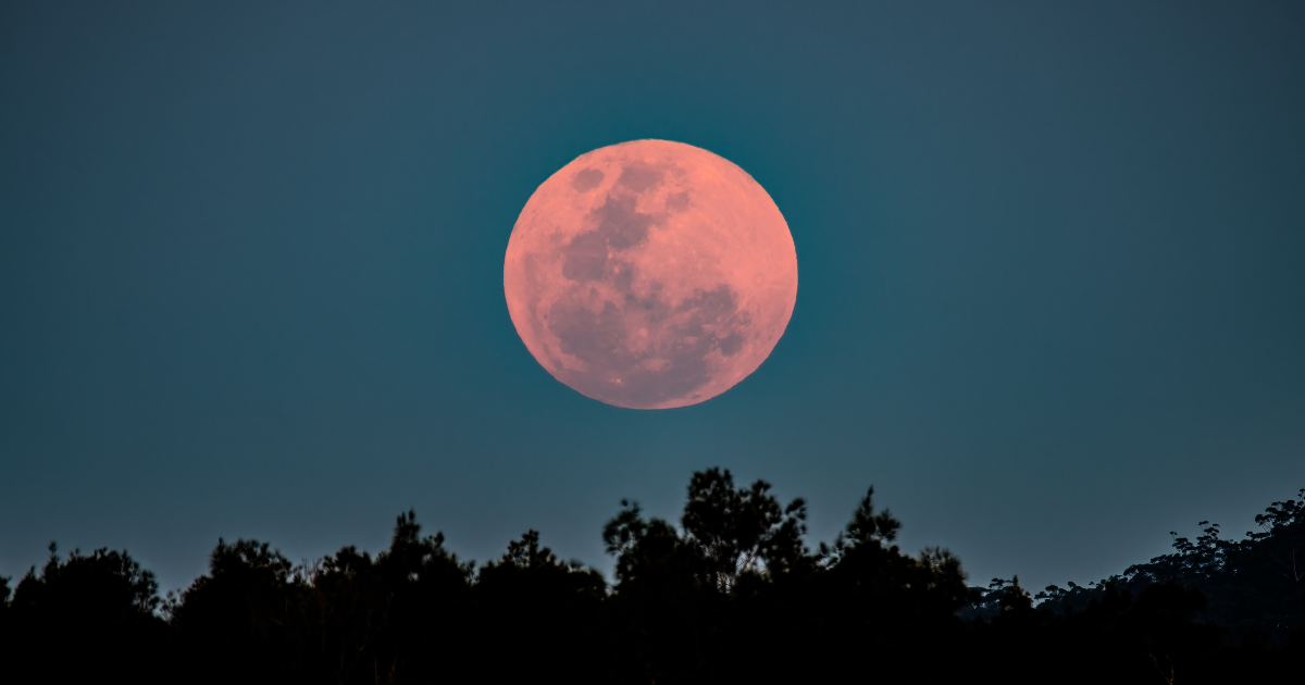 Rare strawberry moon to appear in Dutch skies on June 11