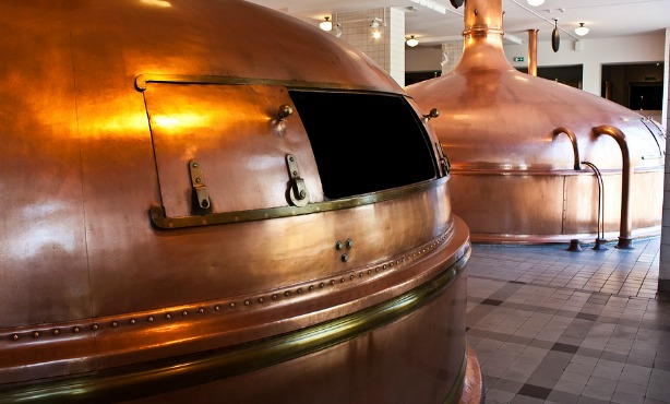 Dutch brewer turns rain into beer