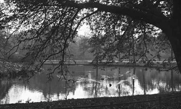 Blues Before Sunrise