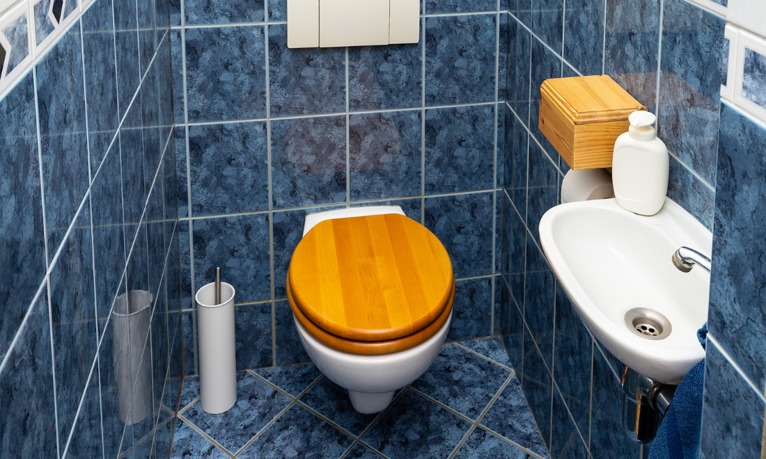 The Dutch toilet: Everything you need to know before you go