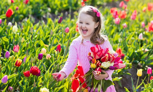 The Netherlands ranks 4th place for best country to have a childhood