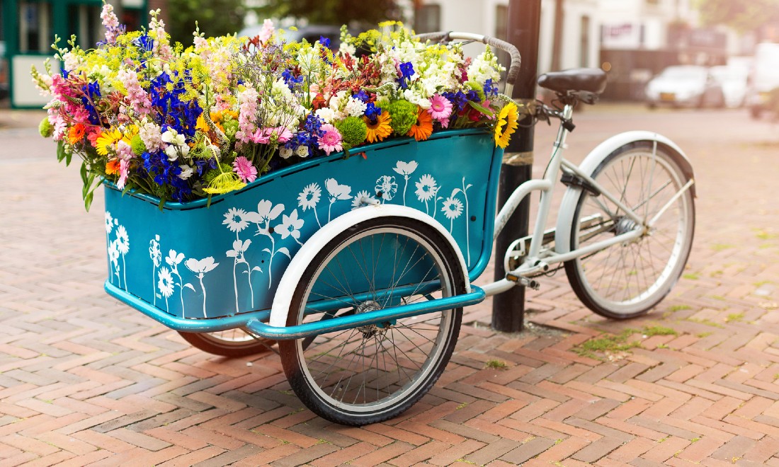 5 special kinds of bicycle