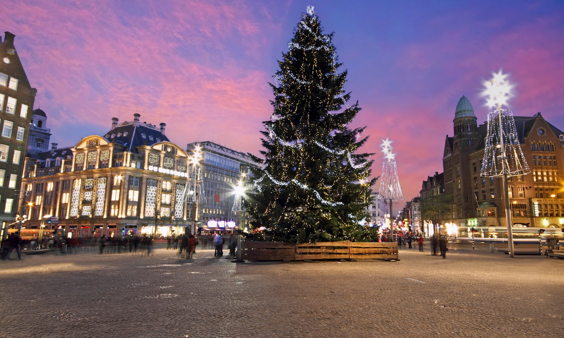 6 most iconic Christmas trees in the Netherlands