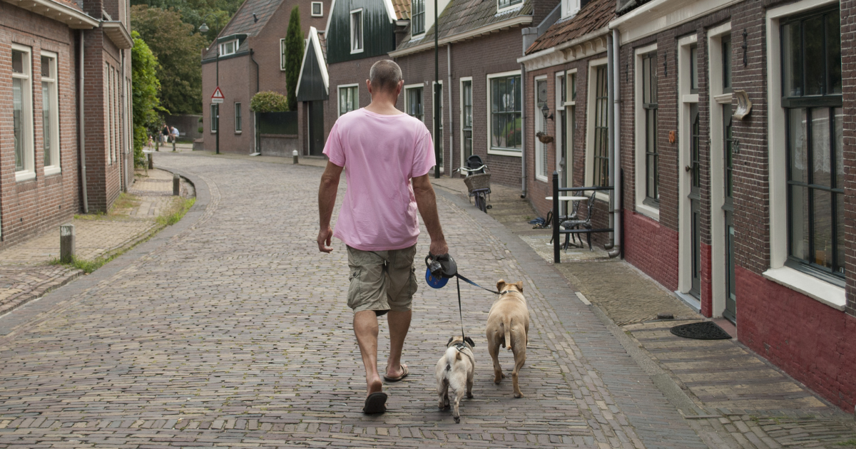 Fewer Dutch municipalities opt to charge annual dog tax