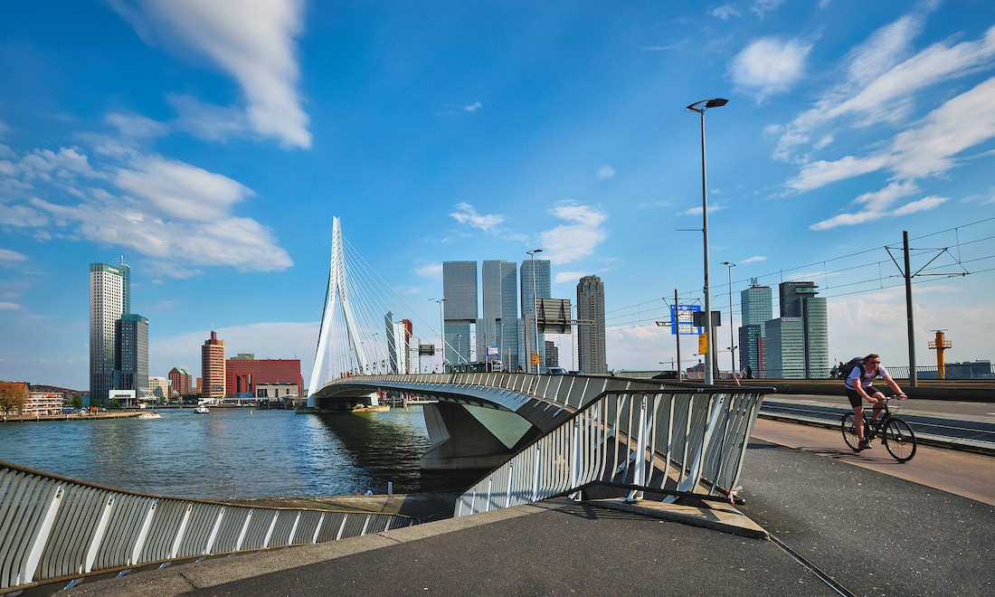 Landing your dream job in Rotterdam: a guide for Expats