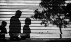 Major changes to Dutch immigration laws impact expat couples