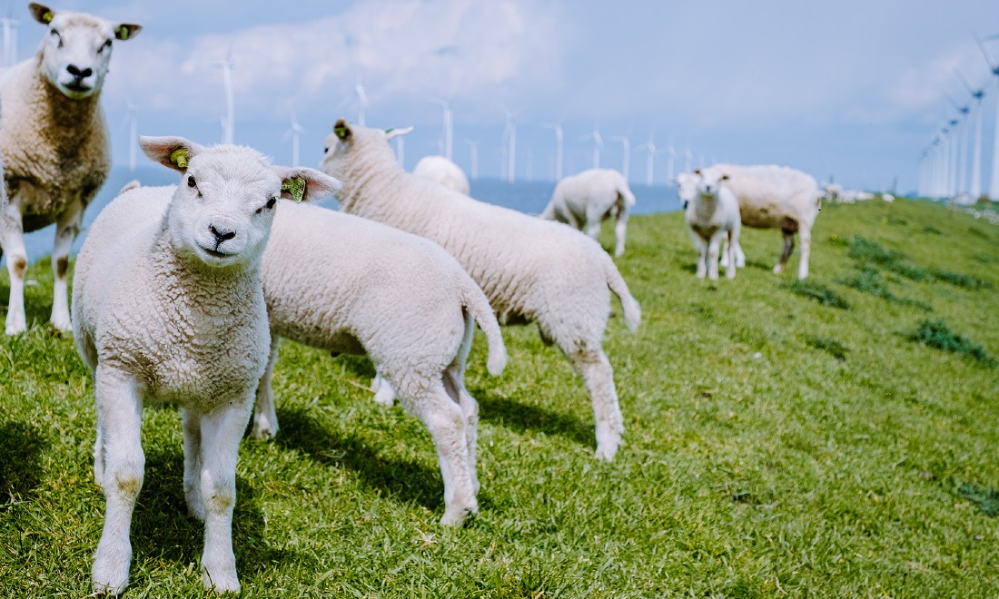 The Netherlands set to enjoy sunny weather this Easter weekend