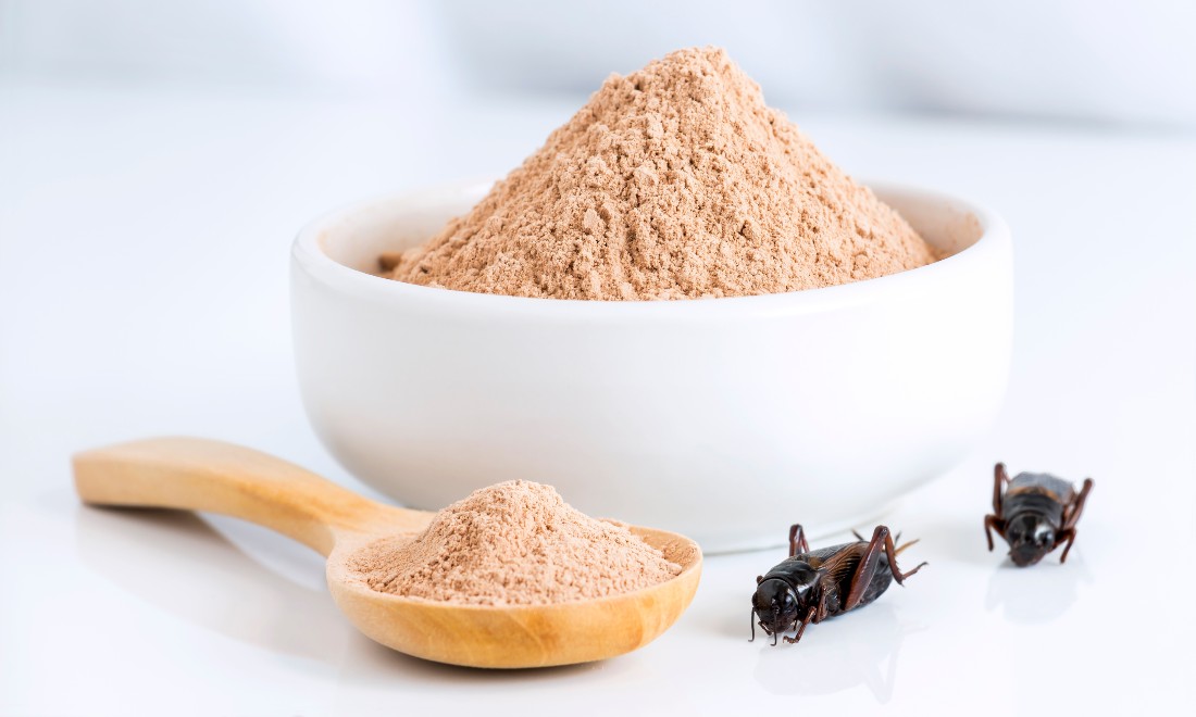 EU passes new law, crickets now allowed as ingredient in supermarket foods