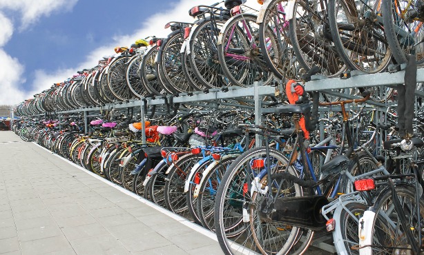 Dutch study shows cyclists live longer