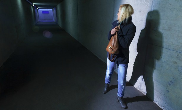 One in five people in the Netherlands a victim of crime