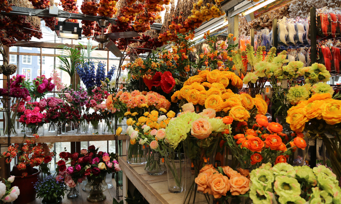 4 flower markets in Amsterdam where you can buy a cheerful bouquet