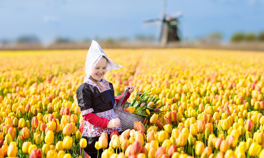 [Video] Mythbusting some common stereotypes about the Dutch