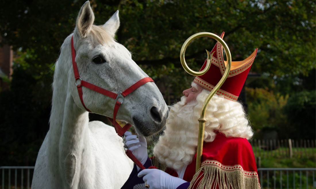 December 2023: 6 things expats in the Netherlands need to know