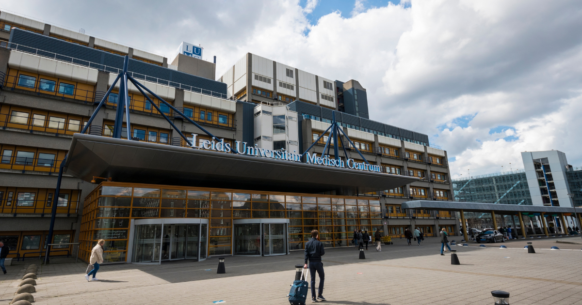 Dutch researchers make breakthrough that could cure type 1 diabetes