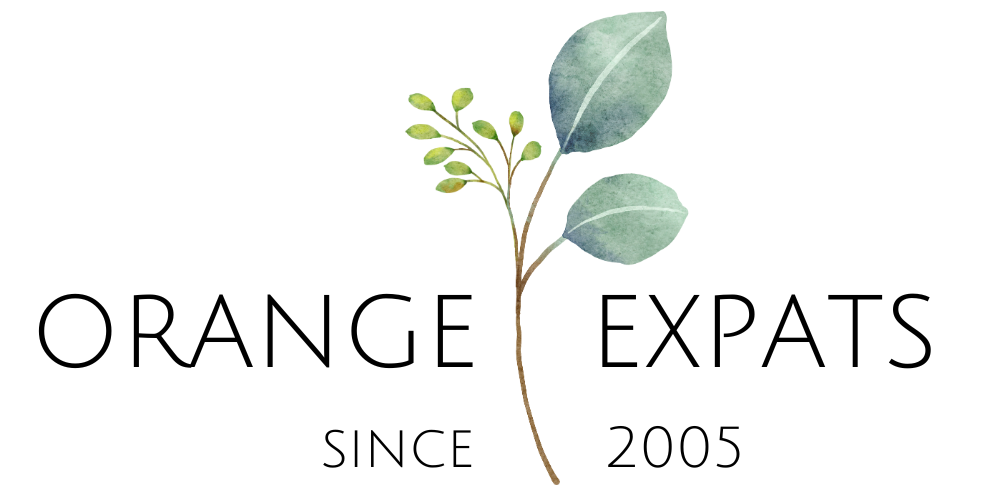 Orange Expats | Workplace Wellbeing Coaching