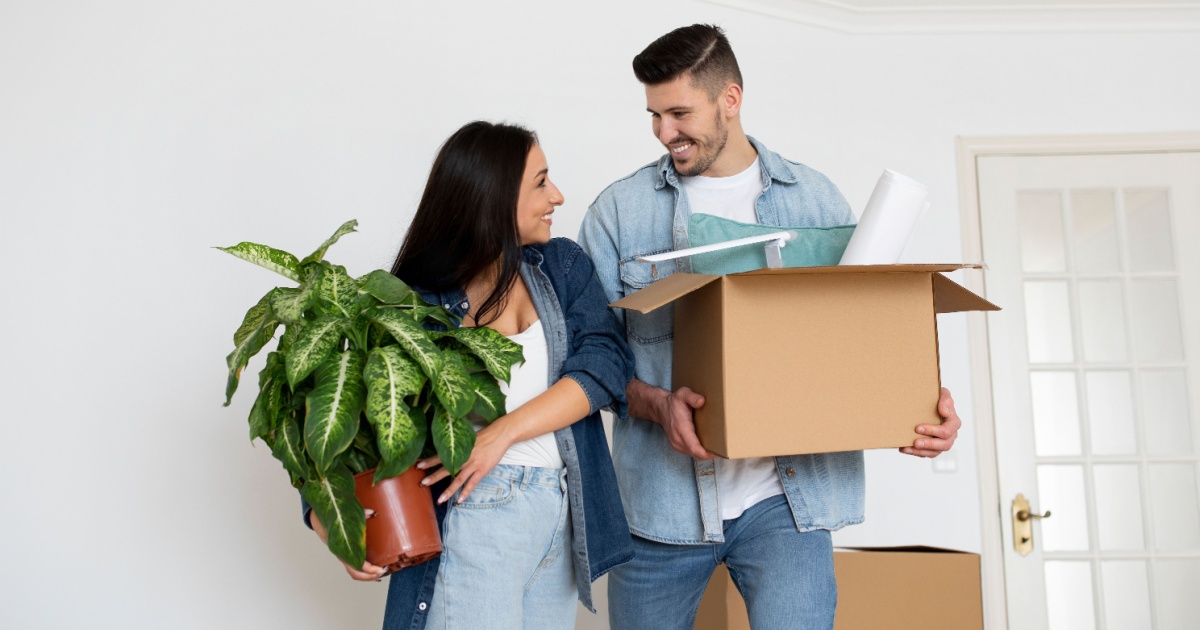 Make moving continents a breeze with Windmill Forwarding