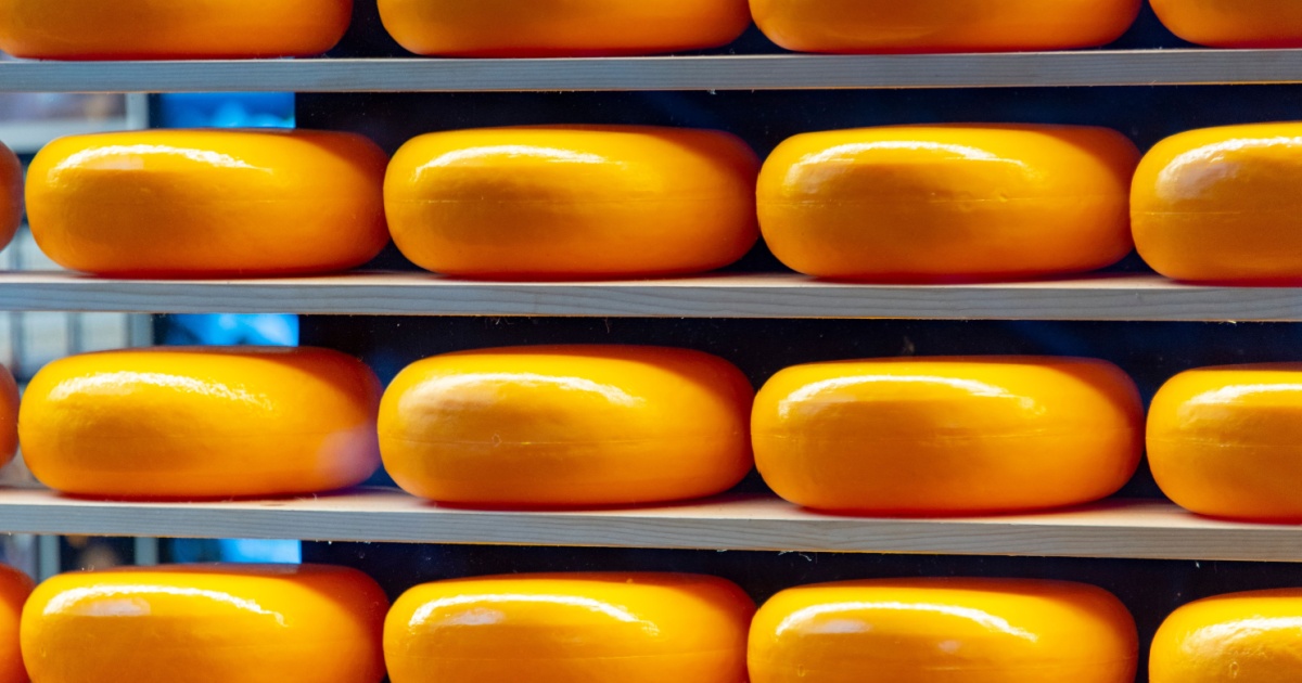 World's best Gouda made in Belgium, not the Netherlands