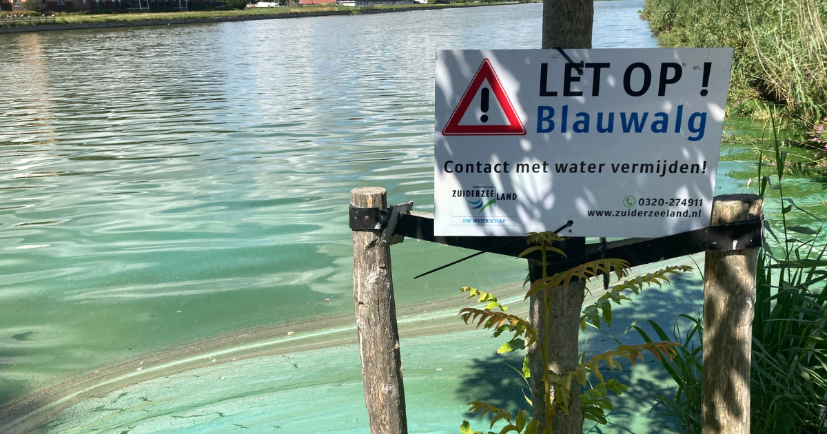 Safety warnings issued for 164 swimming locations in the Netherlands